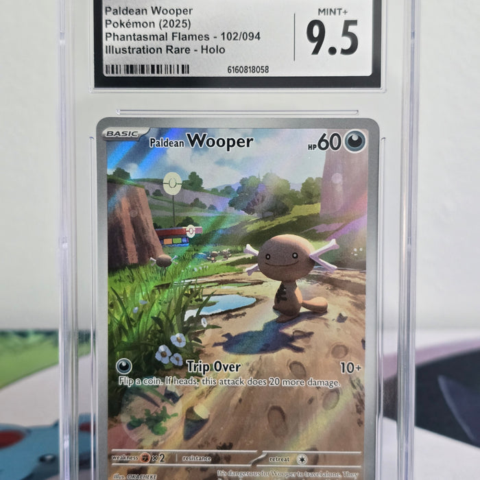 Paldean Wooper #102/094 Illustration Rare — Phantasmal Flames — CGC 9.5 Mint+